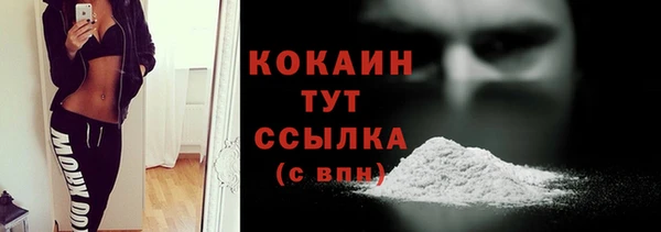 прущая мука Арсеньев
