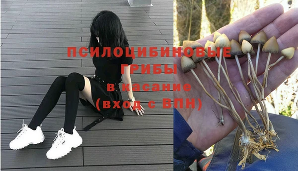 прущая мука Арсеньев