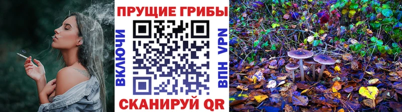 Псилоцибиновые грибы GOLDEN TEACHER Пущино